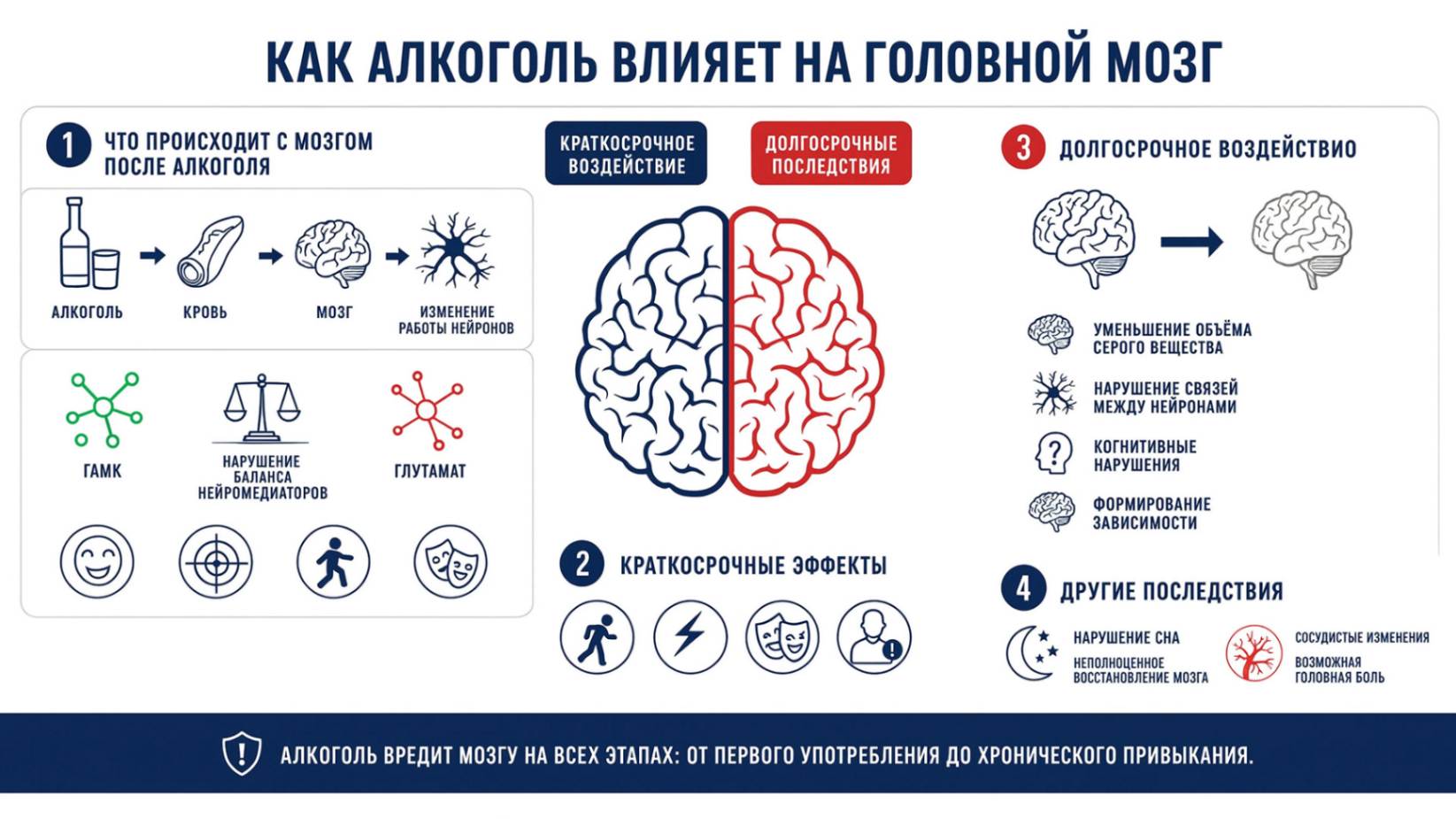 Инфографика о том, как алкоголь влияет на головной мозг и нервную систему