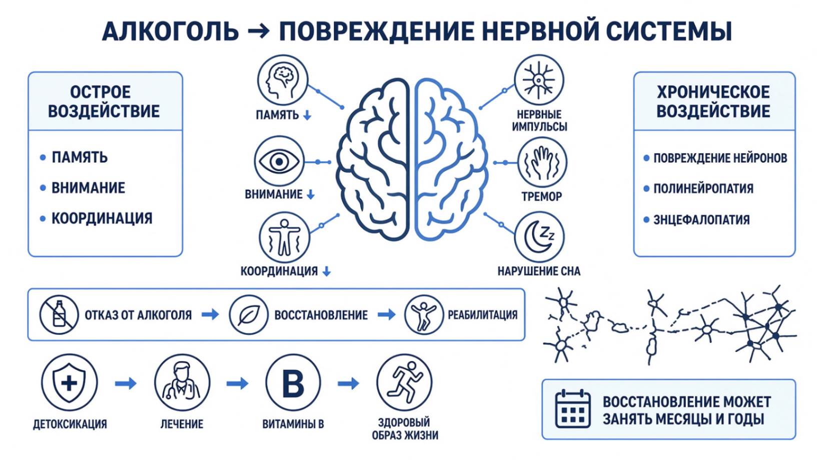 Как алкоголь влияет на нервную систему: основные изменения