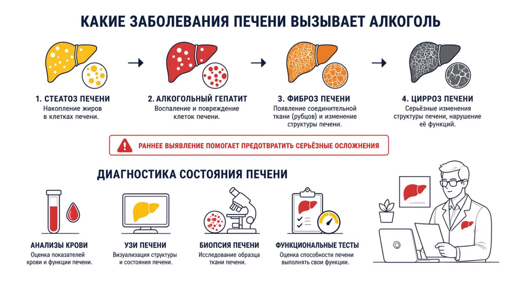 Какие заболевания печени вызывает алкоголь и какие методы диагностики применяют